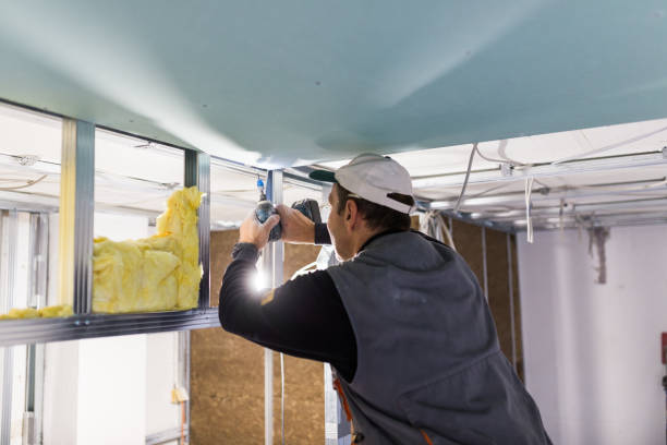 Best Insulation Air Sealing  in Bonne Terre, MO